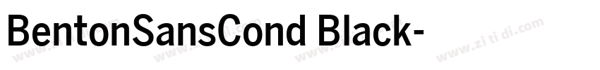 BentonSansCond Black字体转换